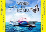 Работа в Южной Корее и Израиле