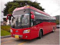 Продам туристический автобус Kia Granbird Sunshine 2009 год